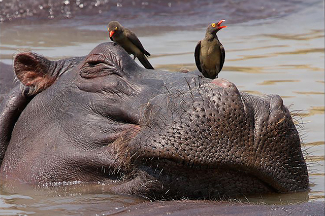 La collaboration notre mode op&eacute;ratoire